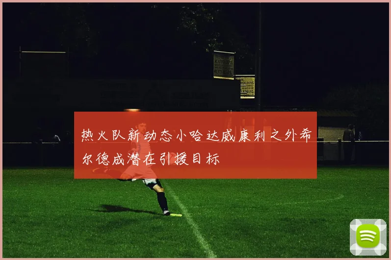 热火队新动态小哈达威康利之外希尔德成潜在引援目标